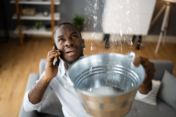 Best Water damage restoration mold remediation  in Willow Street, PA