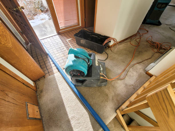 Best Water damage restoration insurance claims  in Willow Street, PA