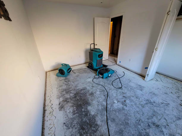 Best Sewage cleanup and water damage restoration  in Willow Street, PA