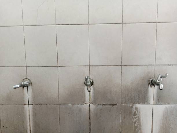 Trusted Willow Street, PA Water damage restoration Experts